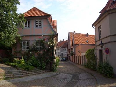  Bildname: rosahaus.jpg 
 Breite: 500 Pixel 
 Hhe: 375 Pixel 
 Grsse: 48 kB 