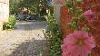  Bildname: blume.jpg